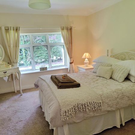 Rooms At Ballysax House The Curragh Exterior foto